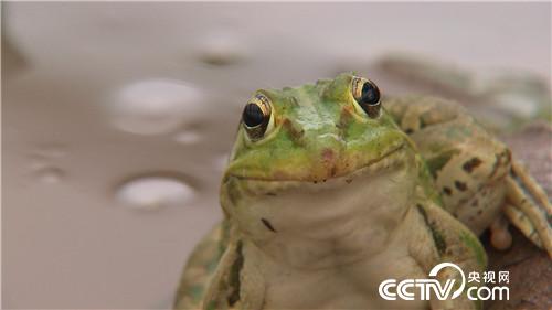 [¸]90С׬Ǯ 20180730 