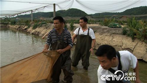 Ö¸»¾£º¸Ä¸ö벡 ÄêÈëǧÍò(20170619)