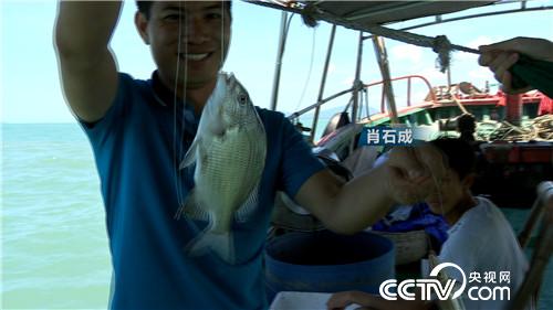 [�¸���]��������ι��� ��Խ�����700�� 20180822 