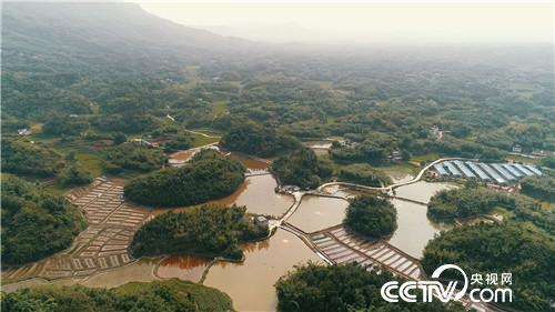 [¸]90С׬Ǯ 20180730 