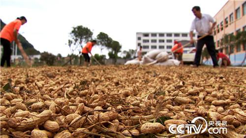 �¸������������������﷢�ֱ���֮��(20170904)