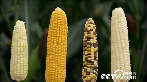 [�¸���]�������������� ��������һ�ڶ� 20180830 