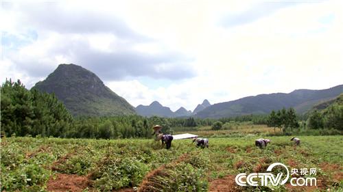 �¸������������������﷢�ֱ���֮��(20170904)