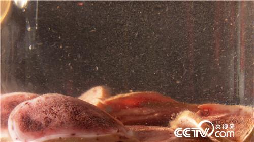 [�¸���]����Ů����ɽ��¹ һ������5000�� 20180828 