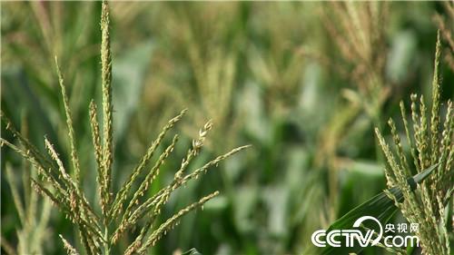 [�¸���]�������������� ��������һ�ڶ� 20180830 