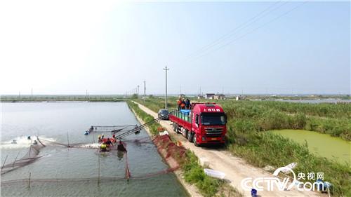 [�¸���]���ٶ����������Ÿ������� ƾɶ�� 20180913 