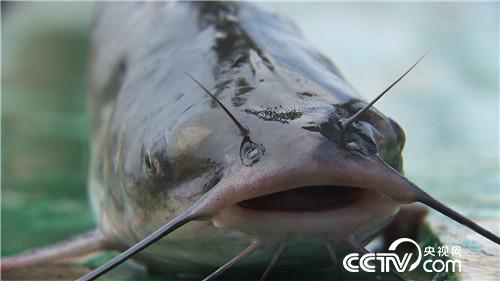 [�¸���]���ٶ����������Ÿ������� ƾɶ�� 20180913 