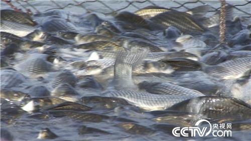 [�¸���]���ٶ����������Ÿ������� ƾɶ�� 20180913 