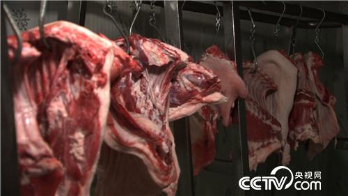 [¸]Źɽ 3000 20180917