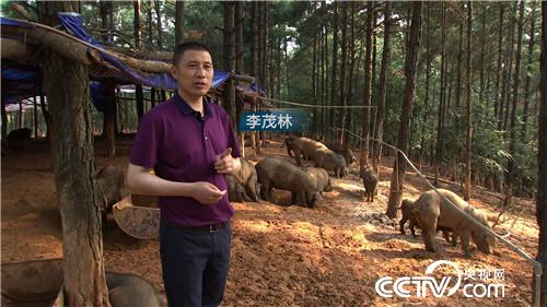 [¸]Źɽ 3000 20180917