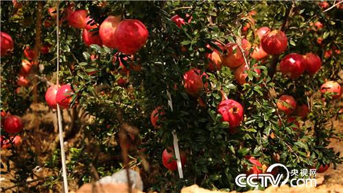 [¸]׷ ֻΪһʯ 20181101 