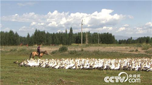 [¸]Ŷ òƸ 20181029 