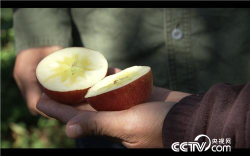 [�¸���]��ƻ���۸� ȫ��һ�� 20181206 