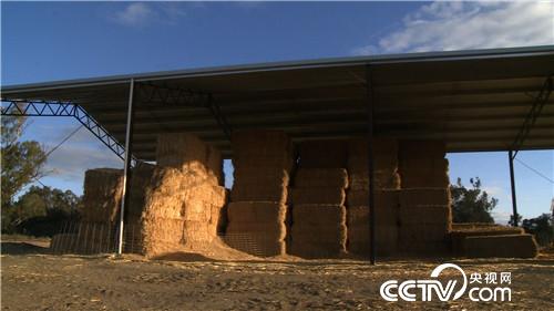 [�¸���]�й�С��Ĵ����Ǿ��� 20181128 