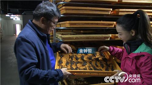 [�¸���]�����ڵ��� �����ڵ��� ׬���ڵ�Ǯ 20181203 