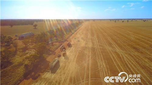 [�¸���]�й�С��Ĵ����Ǿ��� 20181128 