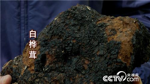 [�¸���]ǹ������ĲƸ����� 20181129 