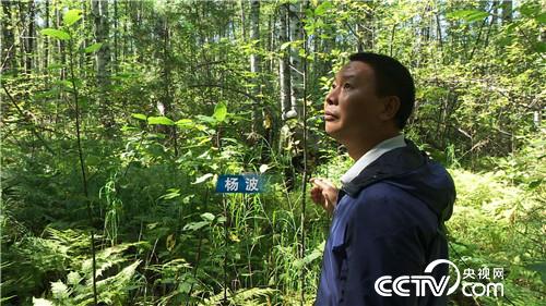 [�¸���]ǹ������ĲƸ����� 20181129 