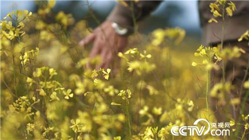 [�¸���]�˲��� �й�ũ�� ������ ���ķ� 20181219 