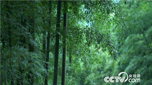 [�¸���]�˲��� �й�ũ�� ���弯 �ҵļ� 20181221 