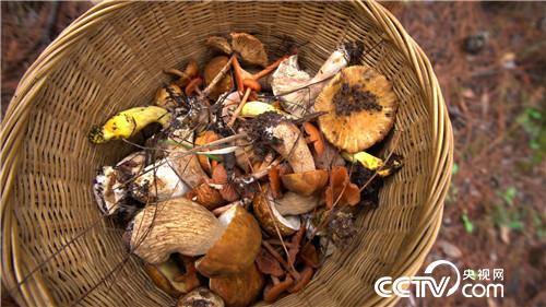 [�¸���]�˲��� �й�ũ�� ���弯 �ҵļ� 20181221 