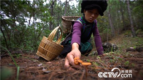 [�¸���]�˲��� �й�ũ�� ���弯 �ҵļ� 20181221 