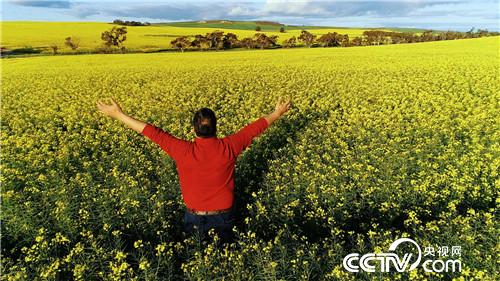 [�¸���]�˲��� �й�ũ�� ������ ���ķ� 20181219 