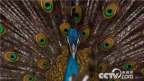 �¸�����3000Ԫ�� ��С��ƾɶӮ�ø���Ů��ǧ���