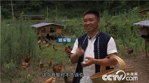 致富经:两个疼媳妇的男人 稀奇招法卖千万财富 4月26日