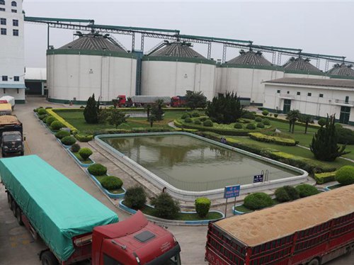 13_副本.jpg 13_副本.jpg