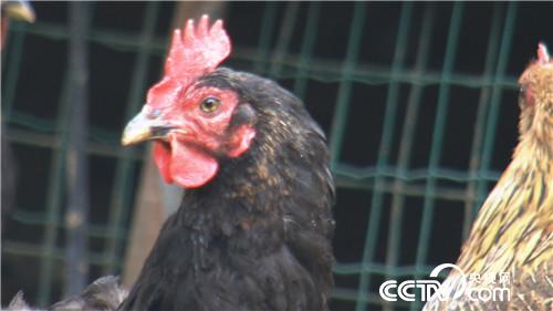 [�¸���]35�� ��Ҫ����������� 20180806 