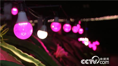 [�¸���]�������� 94��С��������Ԫ������20180816 