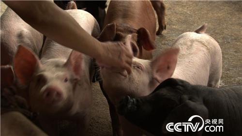 [�¸���]����7��� �����µ� ��ȴ׬��Ǯ 20180820 