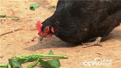 [�¸���]35�� ��Ҫ����������� 20180806 