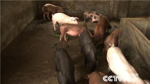 [�¸���]����7��� �����µ� ��ȴ׬��Ǯ 20180820 