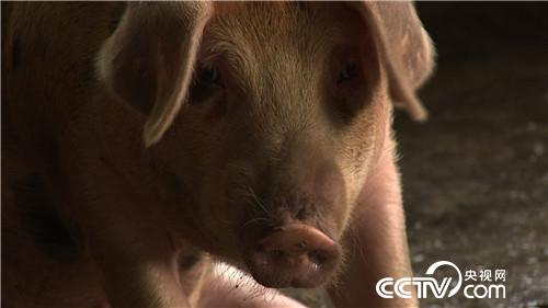 [�¸���]����7��� �����µ� ��ȴ׬��Ǯ 20180820 