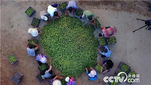 �¸����������������800��(20170912)