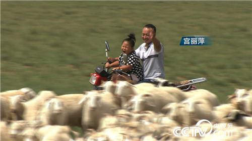 [�¸���]����Ů�������� һֻ��ֵ7000Ԫ 20181011 