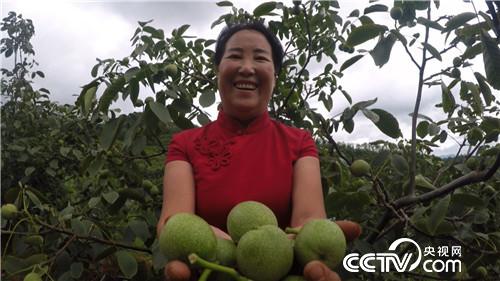 �¸����������������800��(20170912)